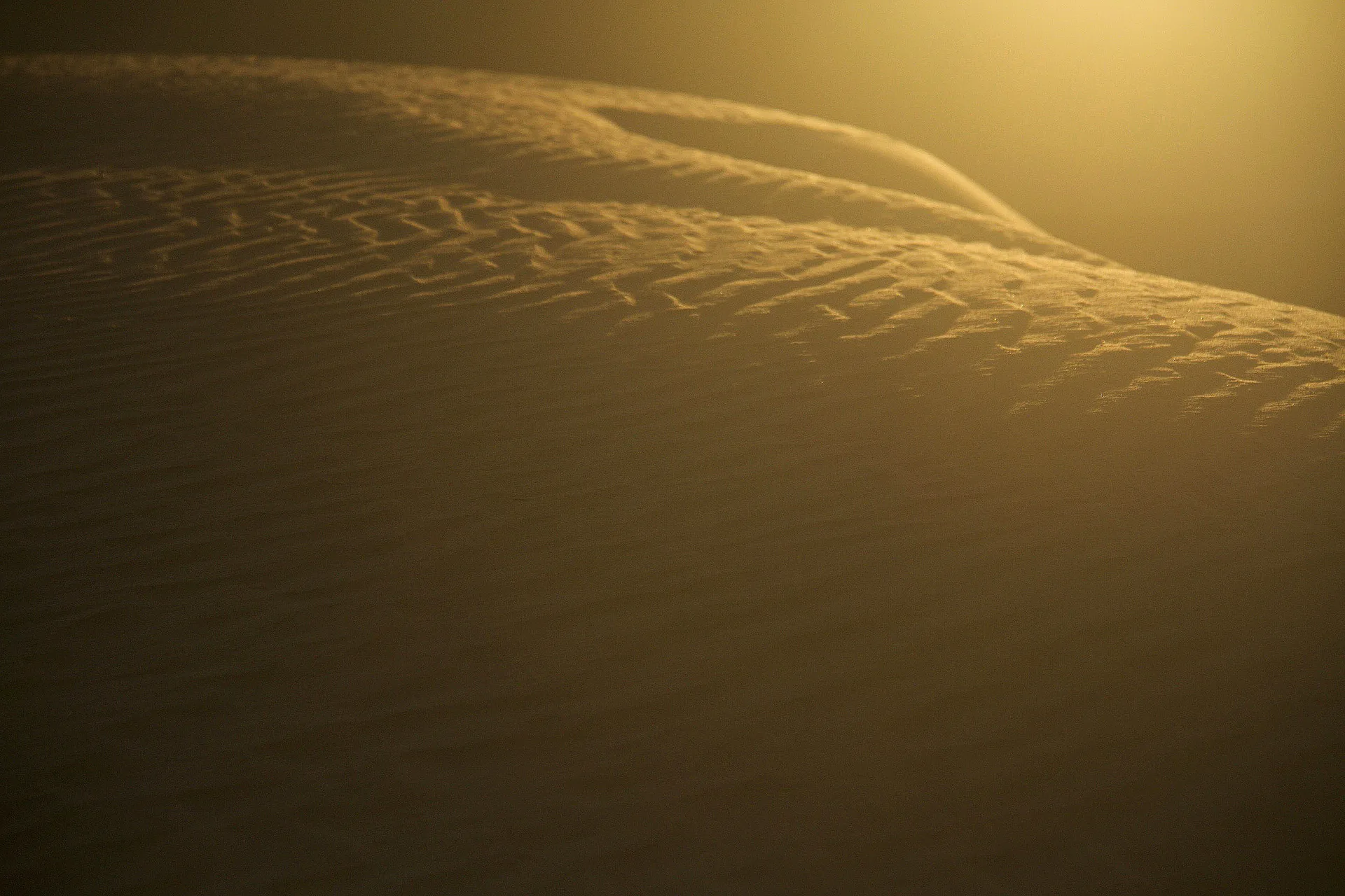 Golden Sunrise, Erg Chebbi, Sahara Desert, Morocco, 摩洛哥