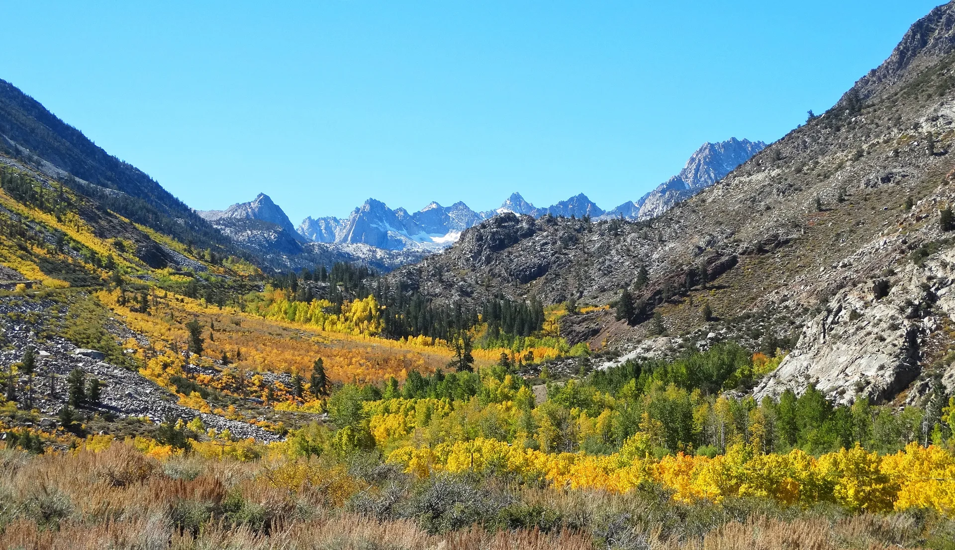 California Gold, Bishop Creek Valley, CA 10-16