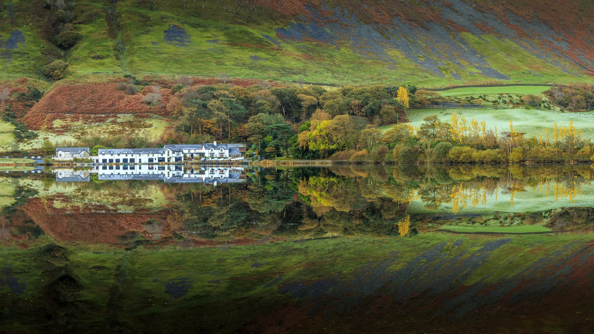 Robert Evans · Wales · UK · nature