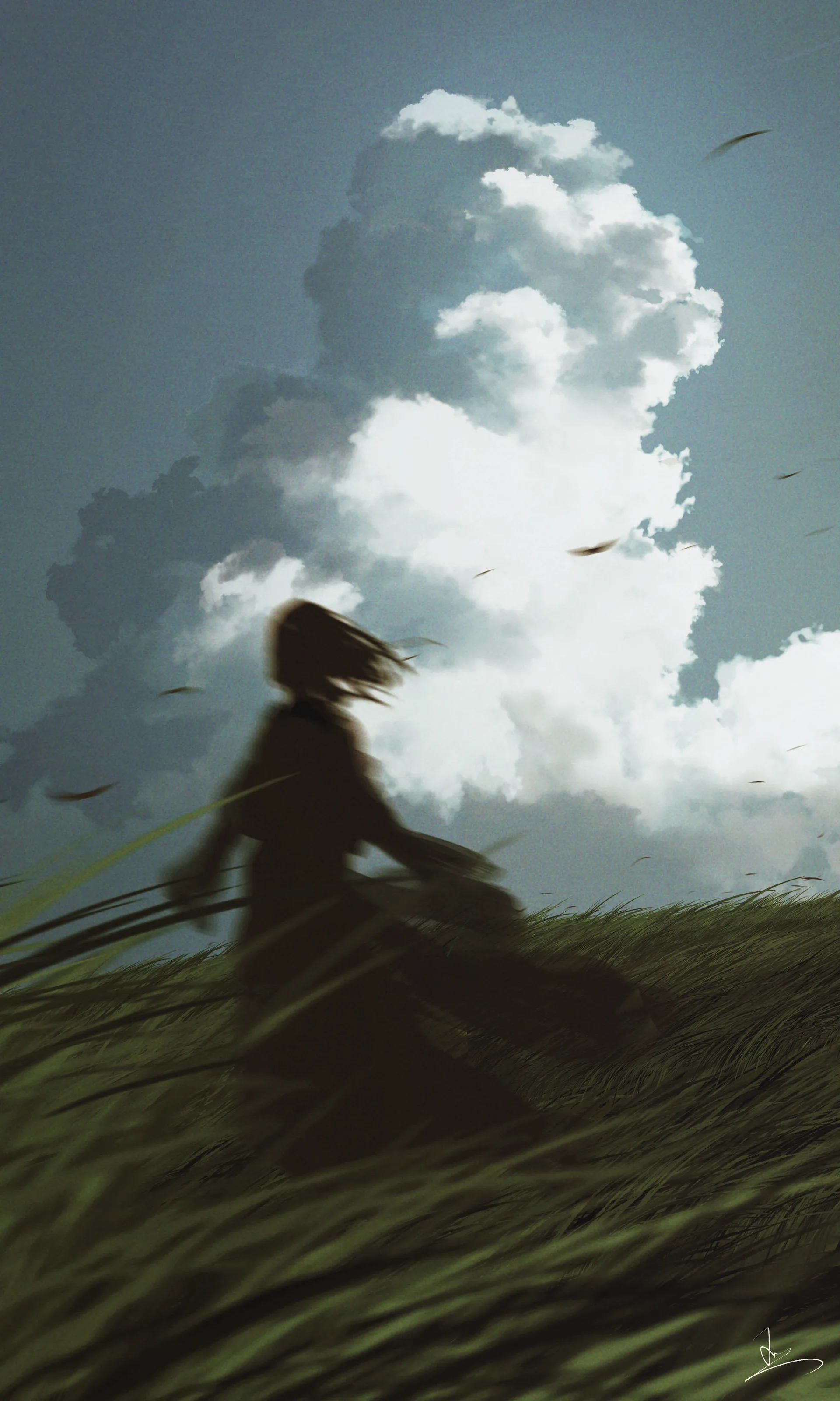 HuashiJW · plants · sky · clouds