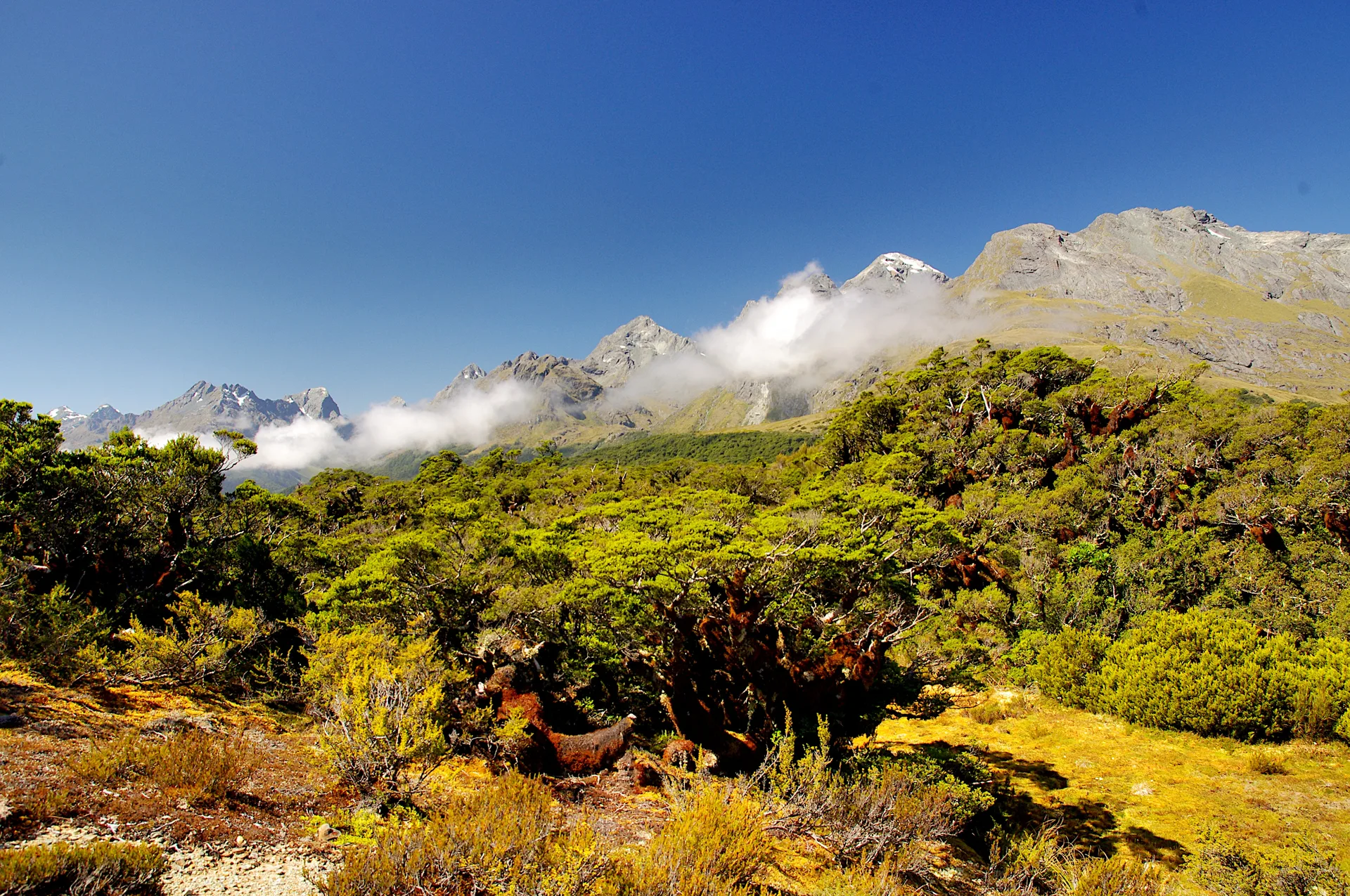2014-02-03_16-31-23_NZ_Key_Summit_JH