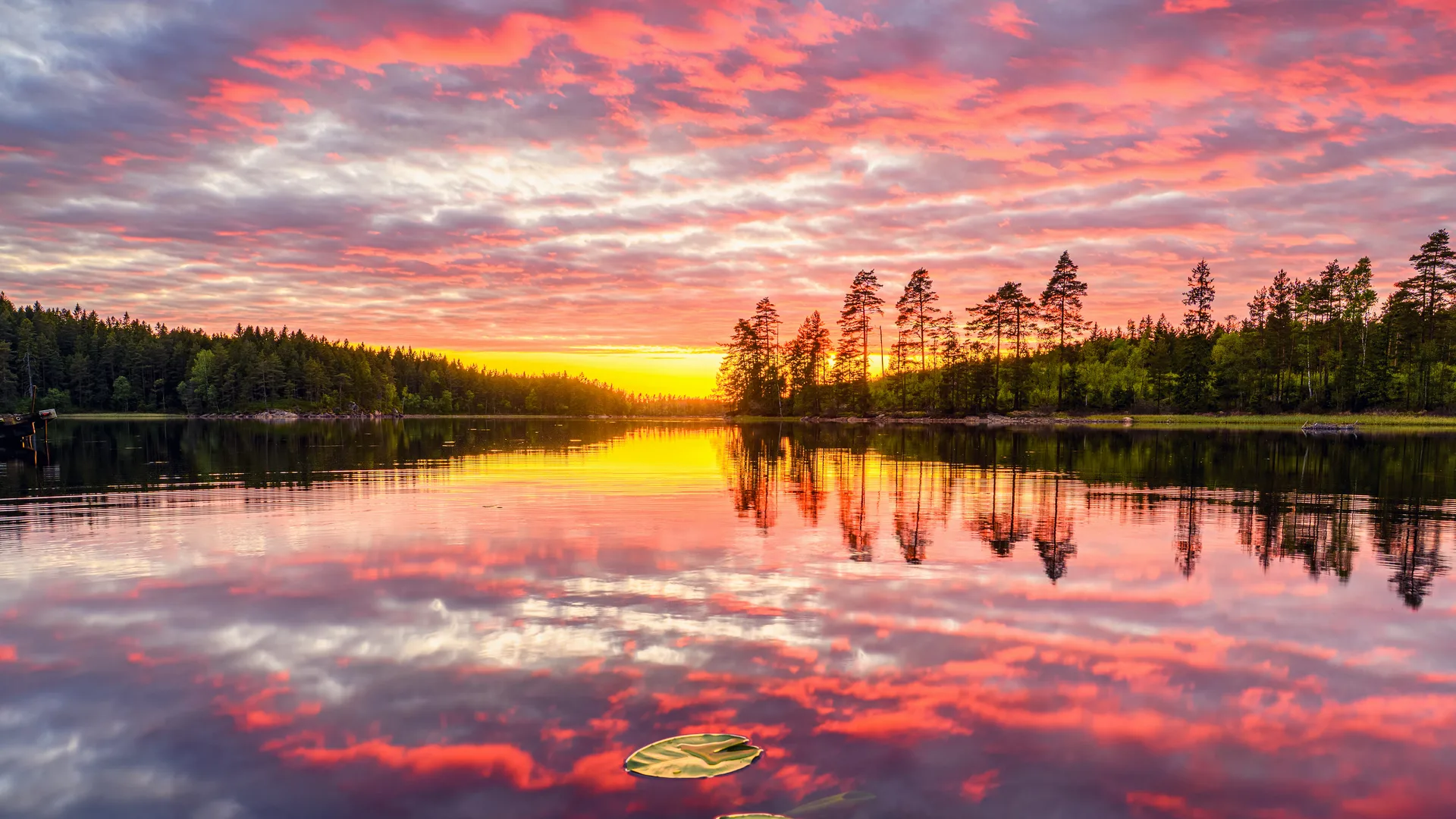 Mikael Järnåsen · Västra Götaland County · Sweden · nature
