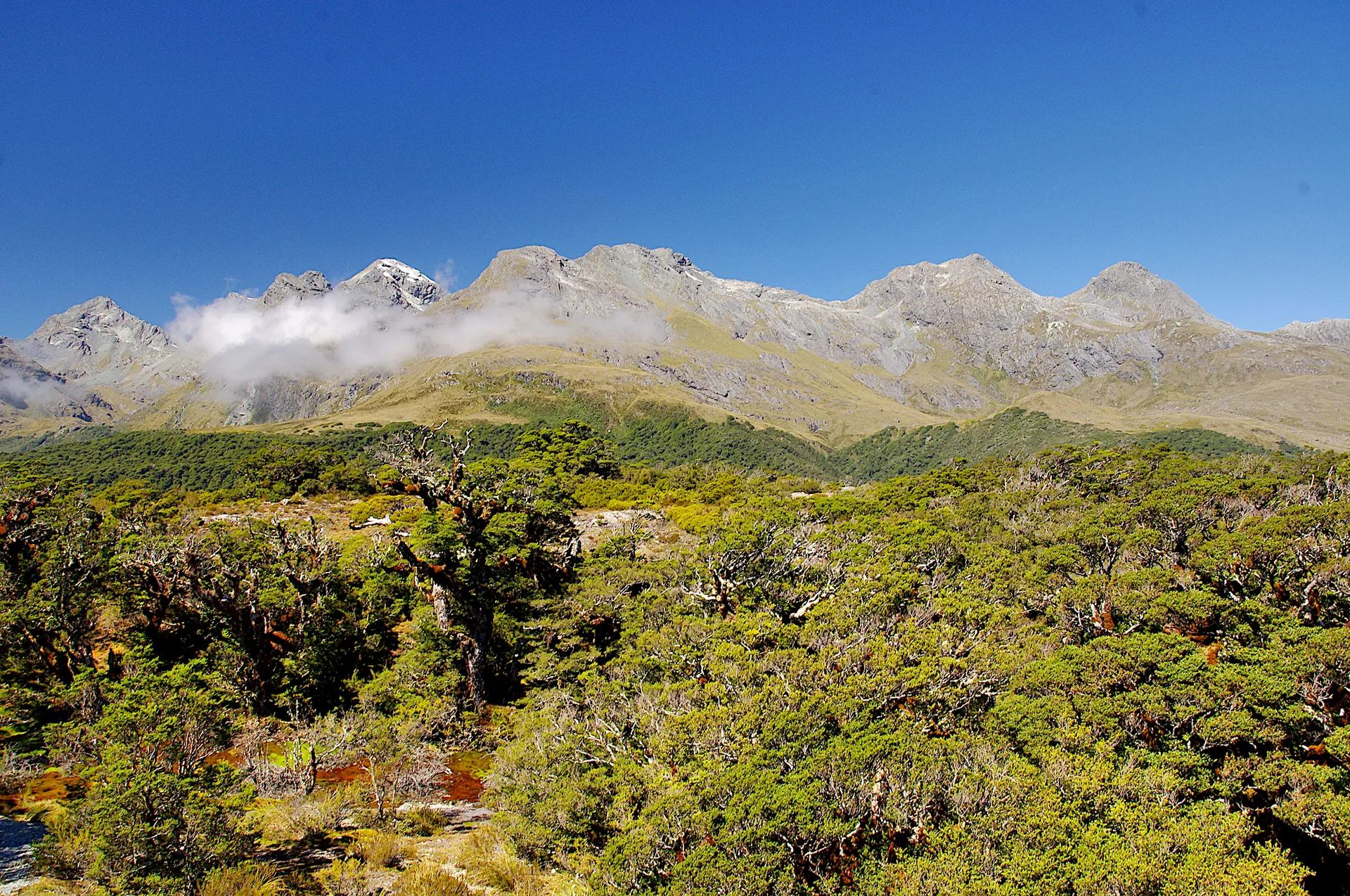 2014-02-03_16-33-33_NZ_Key_Summit_JH