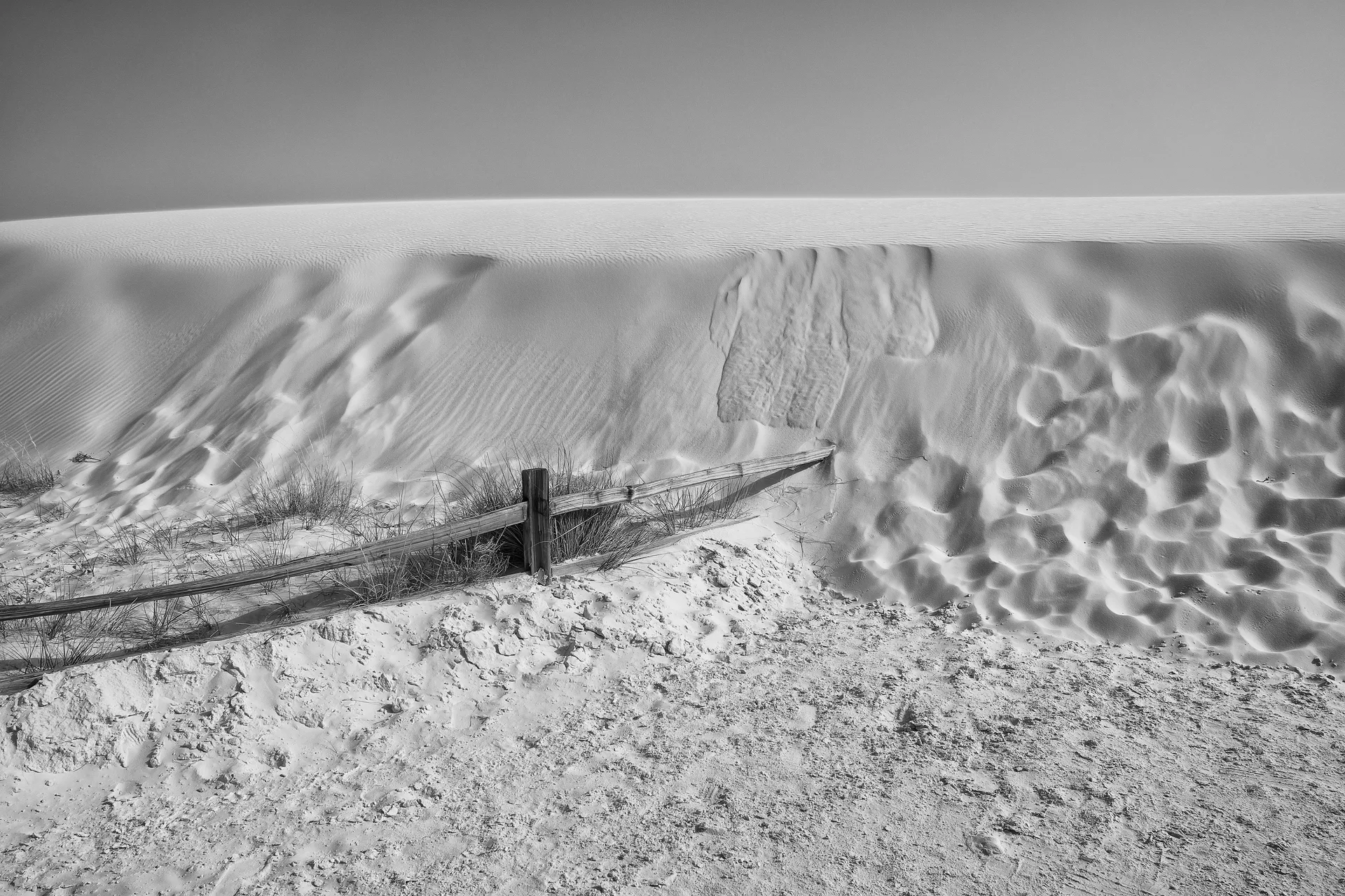 Relentless Dune