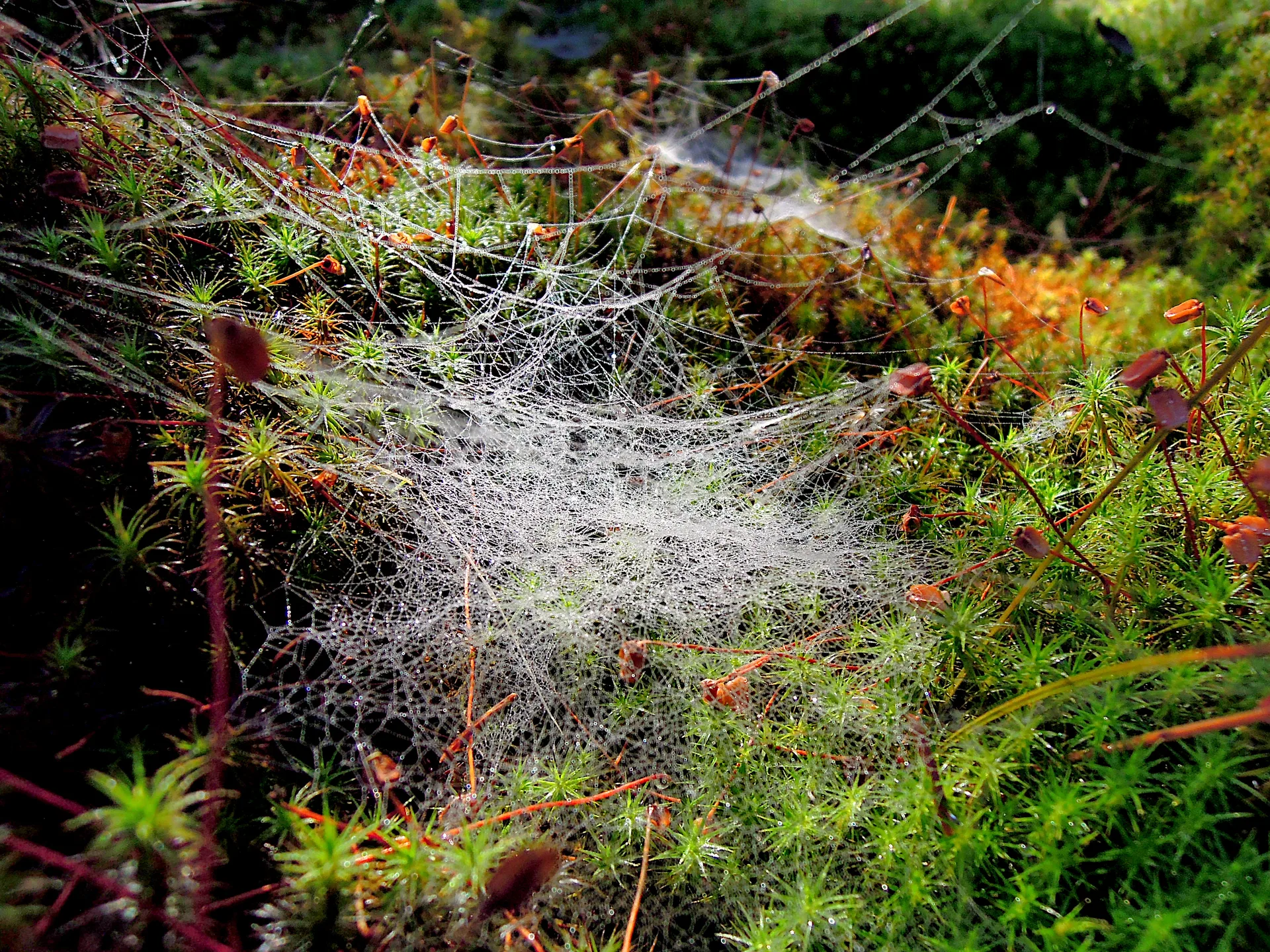 2013-10-08_09-55-10_Sumava_JH