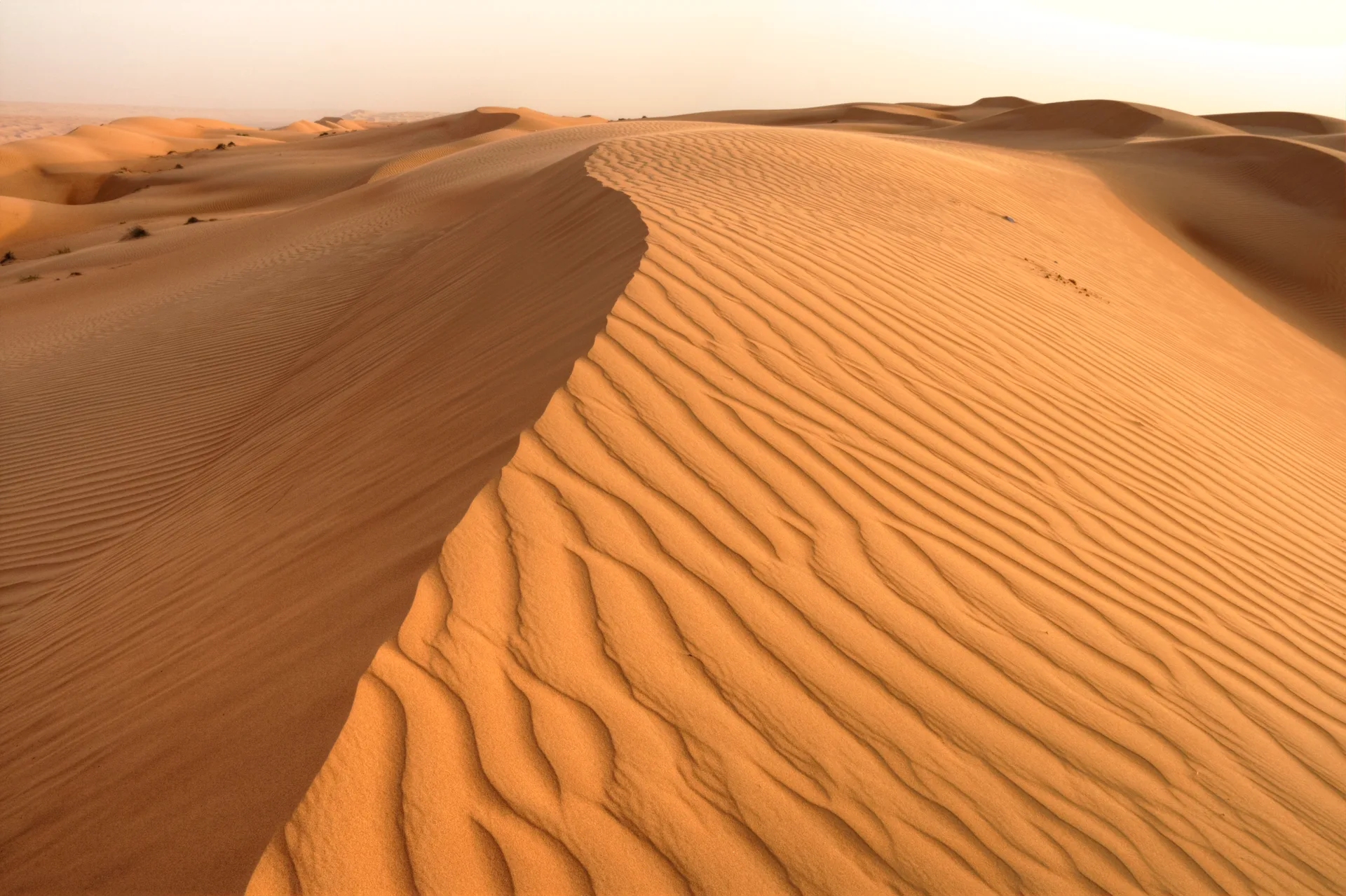Jelly sand