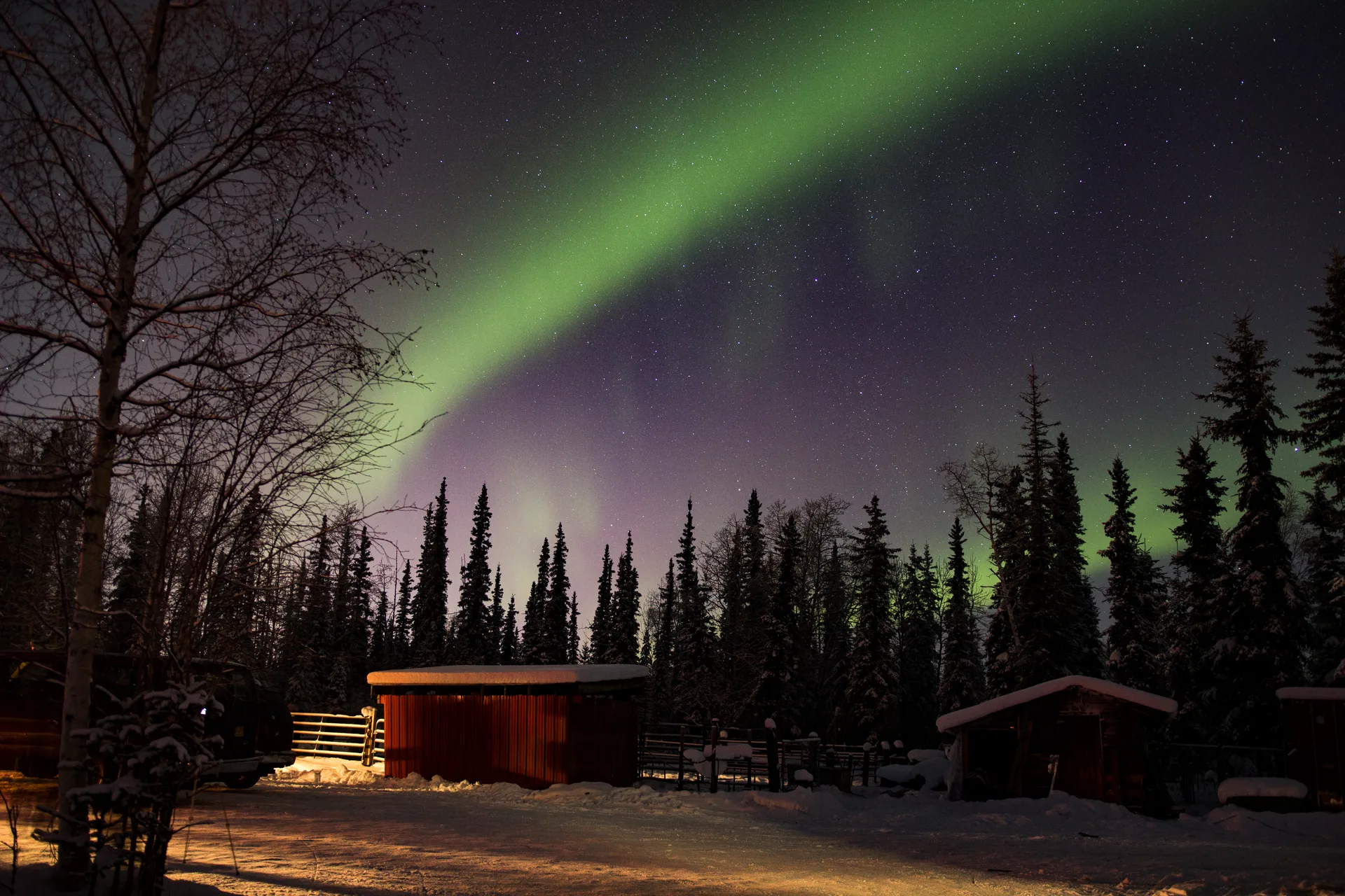 The beautiful Aurora