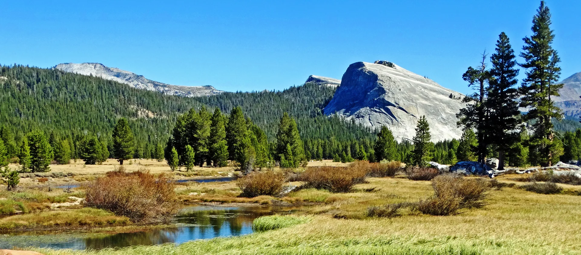Yosemite High Country Meadow 2019