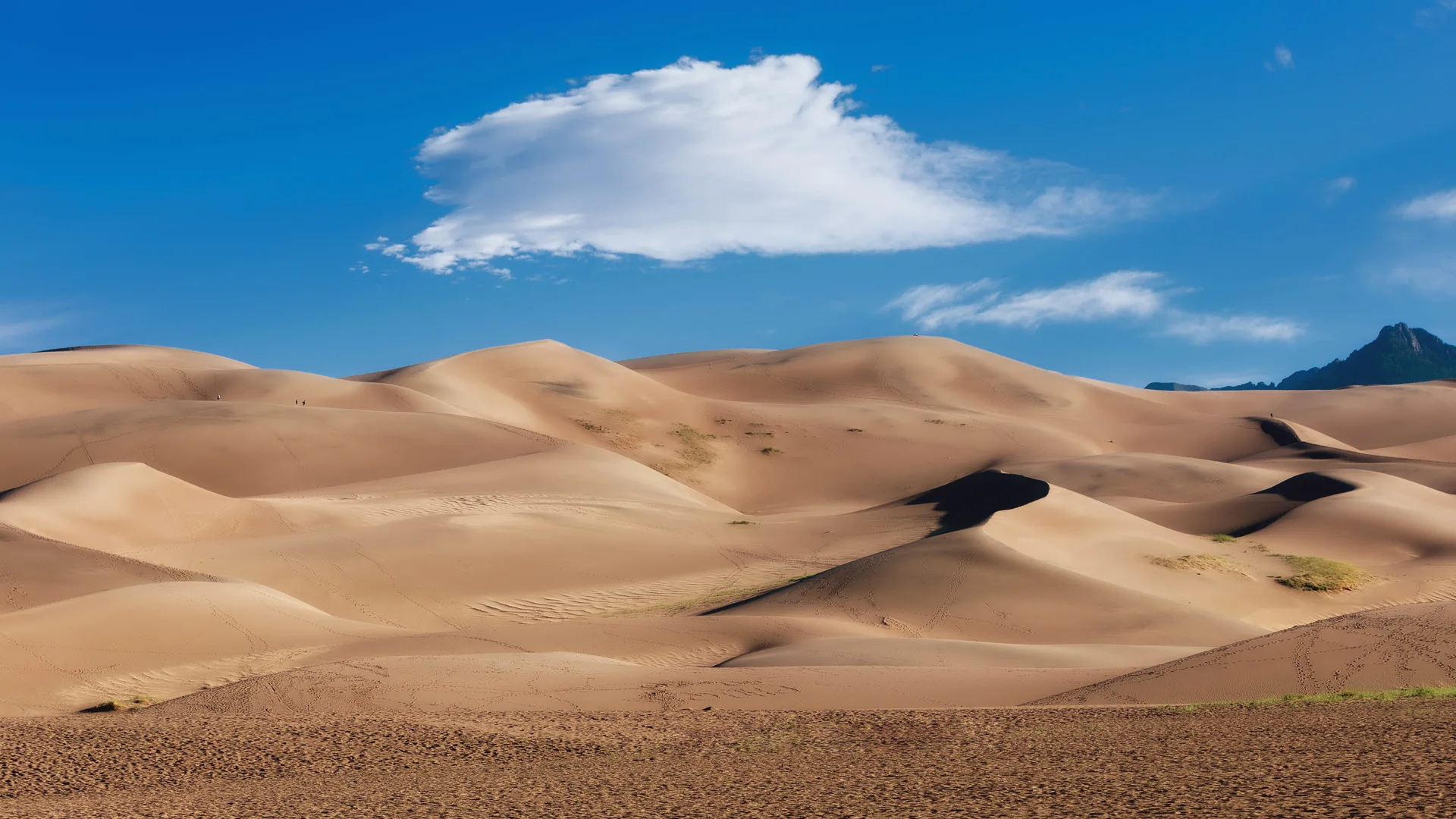 Great Sand Dunes National Park