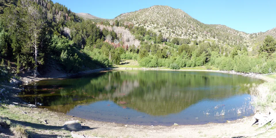 Church's Pond panorama