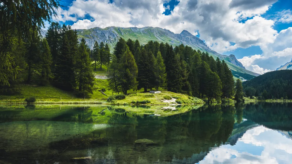 Swisshead · Switzerland · Palpuogna · nature