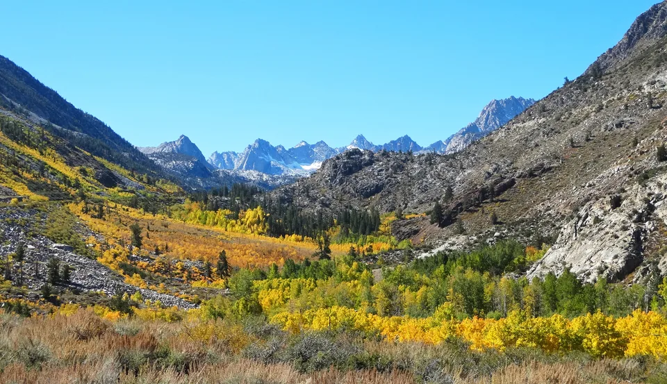 California Gold, Bishop Creek Valley, CA 10-16
