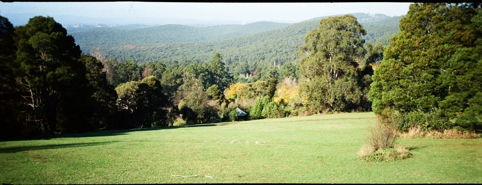 Dandenong Ranges National Park