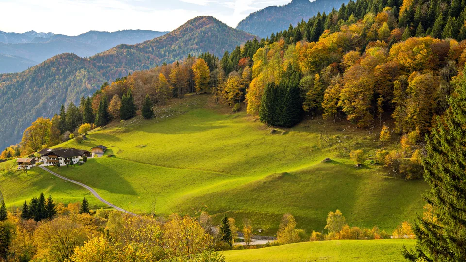 Suvad Hamzić · Bavaria · Germany · nature