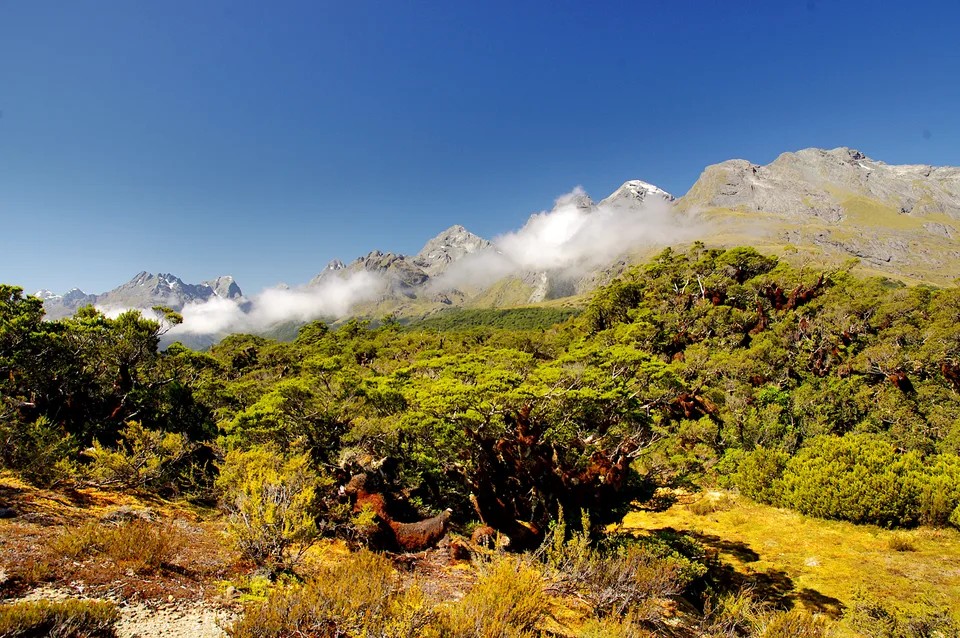 2014-02-03_16-31-23_NZ_Key_Summit_JH
