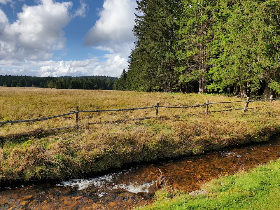 2024-09-24_15-26-08_CZ_Sumava_JHe_N9