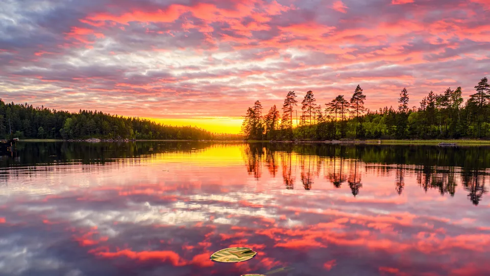 Mikael Järnåsen · Västra Götaland County · Sweden · nature