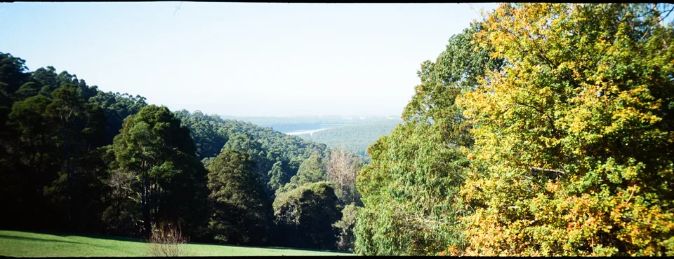 Dandenong Ranges National Park, slightly different angle