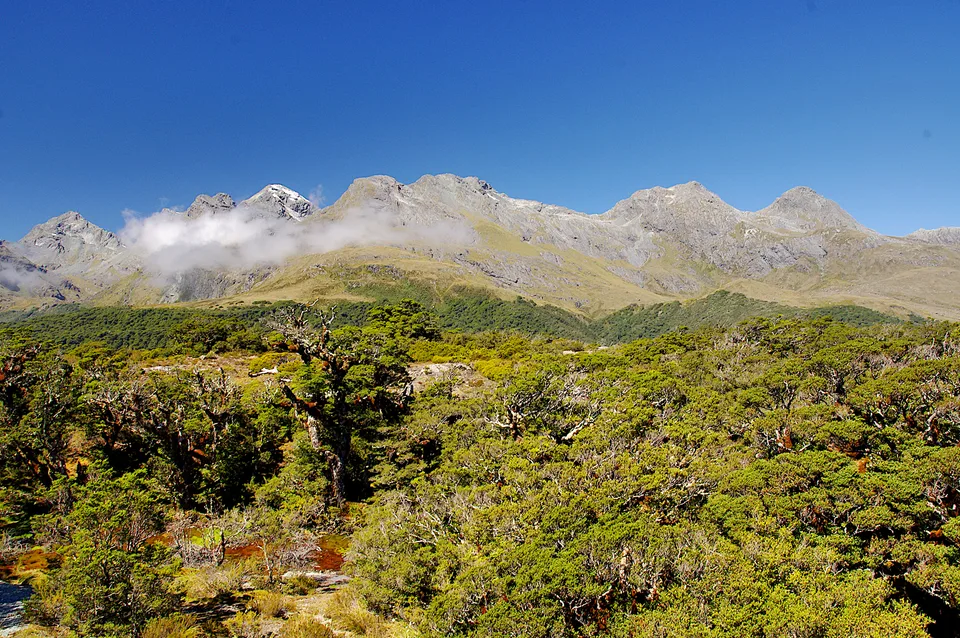 2014-02-03_16-33-33_NZ_Key_Summit_JH