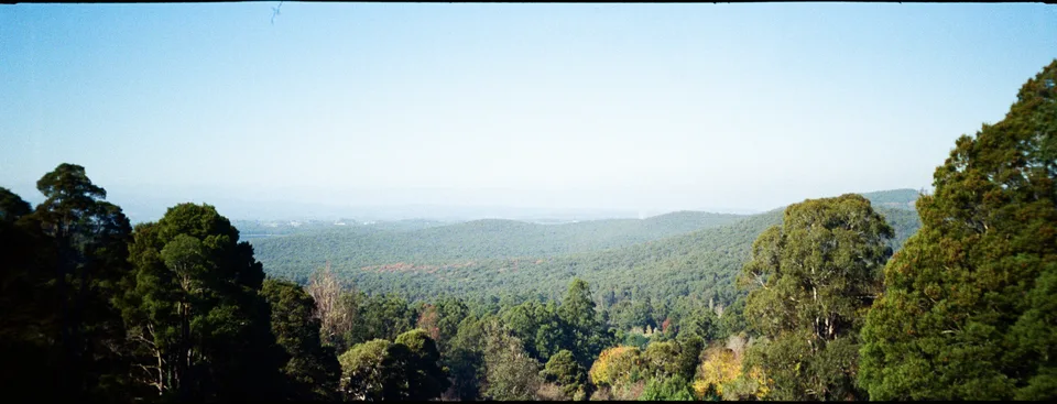 Dandenong Ranges National Park