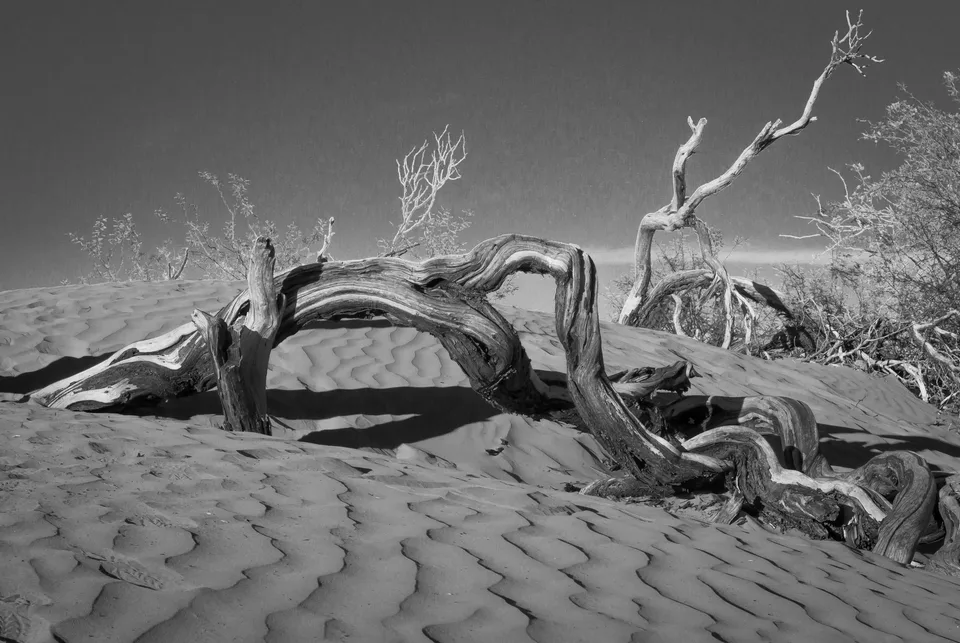 On the Dunes