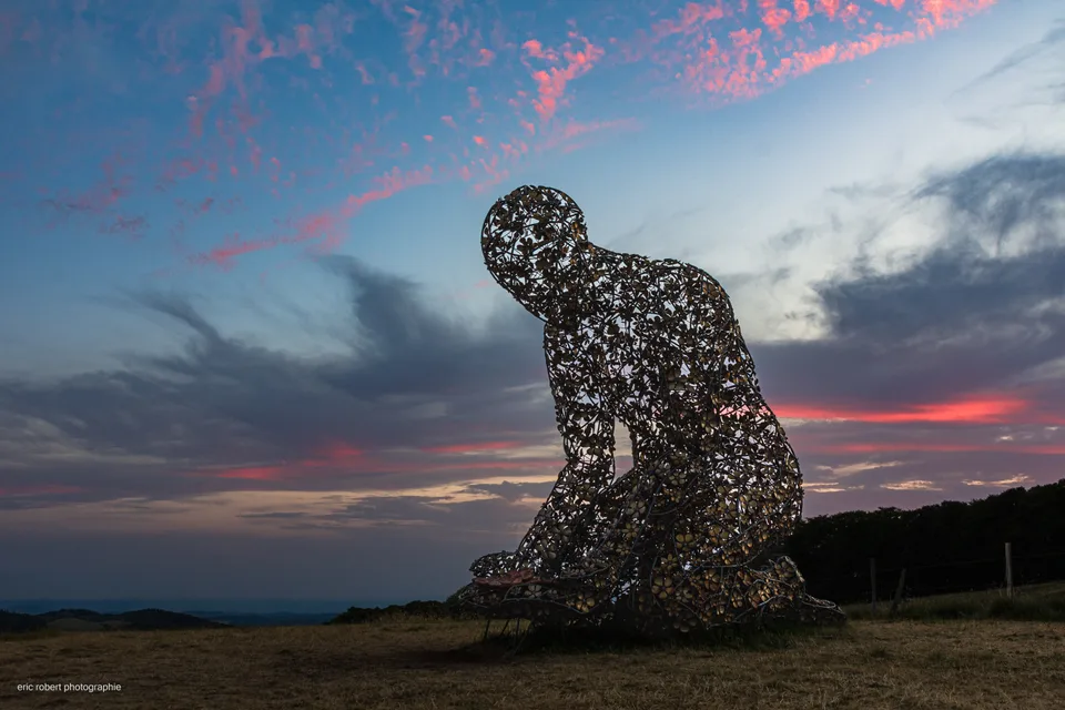photography · art installation · nature · Nikon Corporation