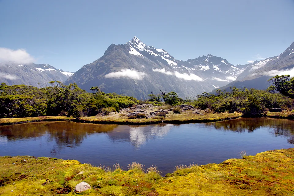 2014-02-03_15-36-16_NZ_Key_Summit_JH