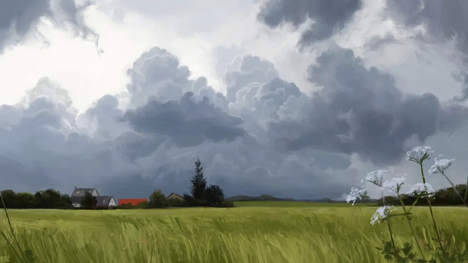 Ninn Salaün · field · flowers · clouds