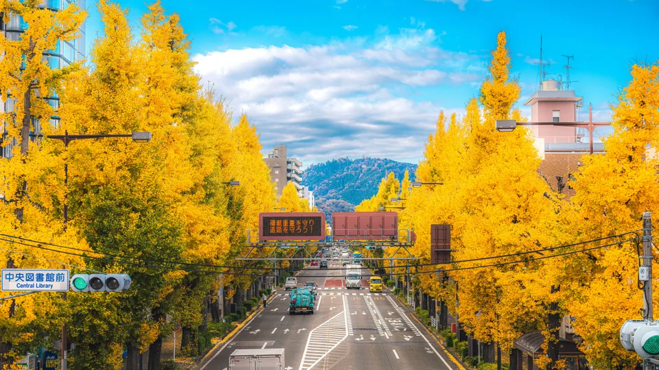 Alex Mesmer · Tokyo · Japan · nature