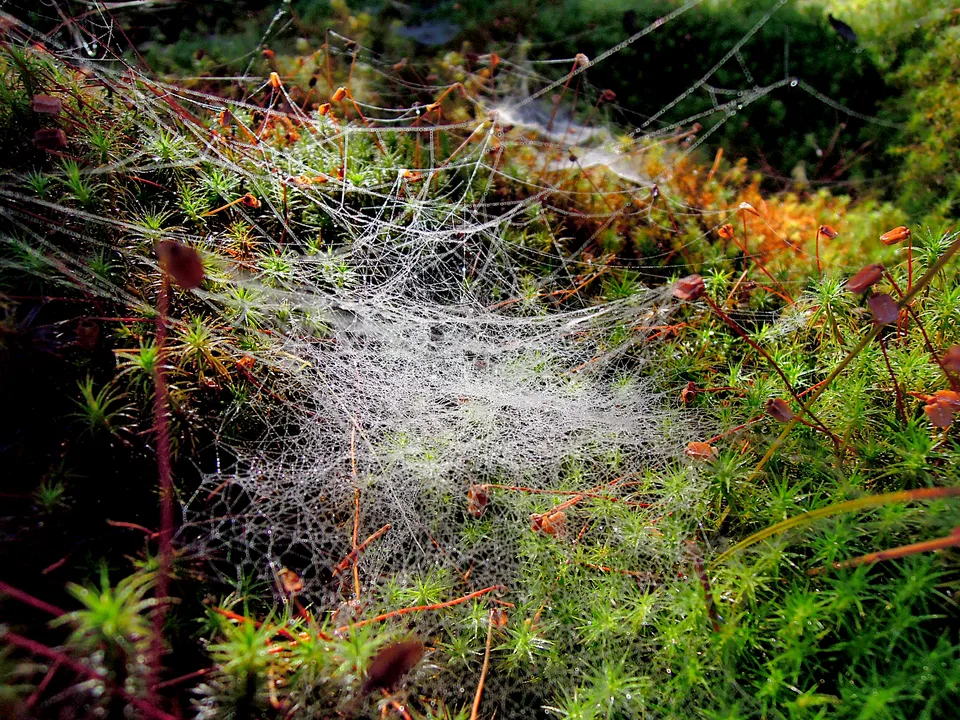 2013-10-08_09-55-10_Sumava_JH