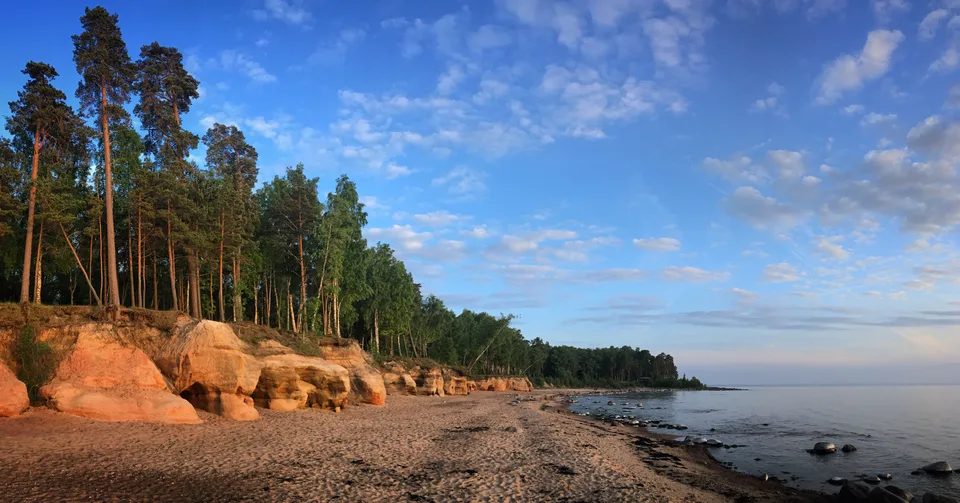 Scenic view of the trees on the sea beach against sky near Salacgrīva, Latvia, May 2018