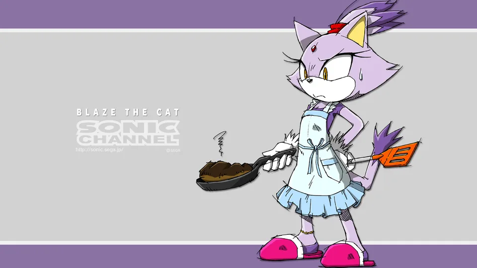 Sonic (series) · Blaze the Cat · Sonic Channel · cooking