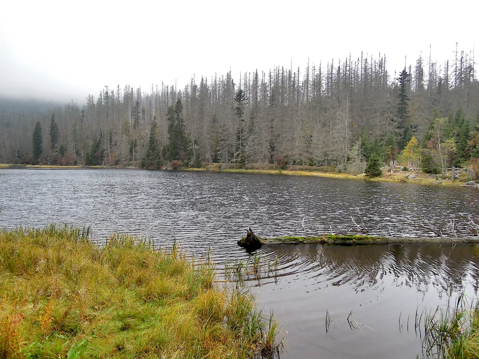 2013-10-10_09-45-33_Sumava_JH