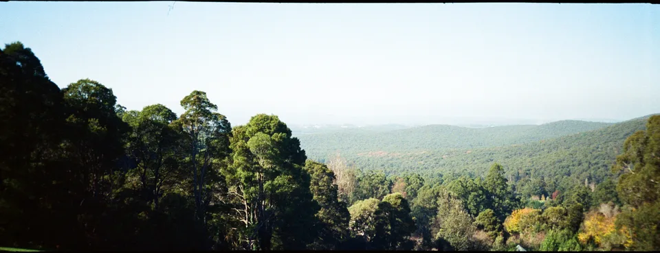 Dandenong Ranges National Park, yet again!!