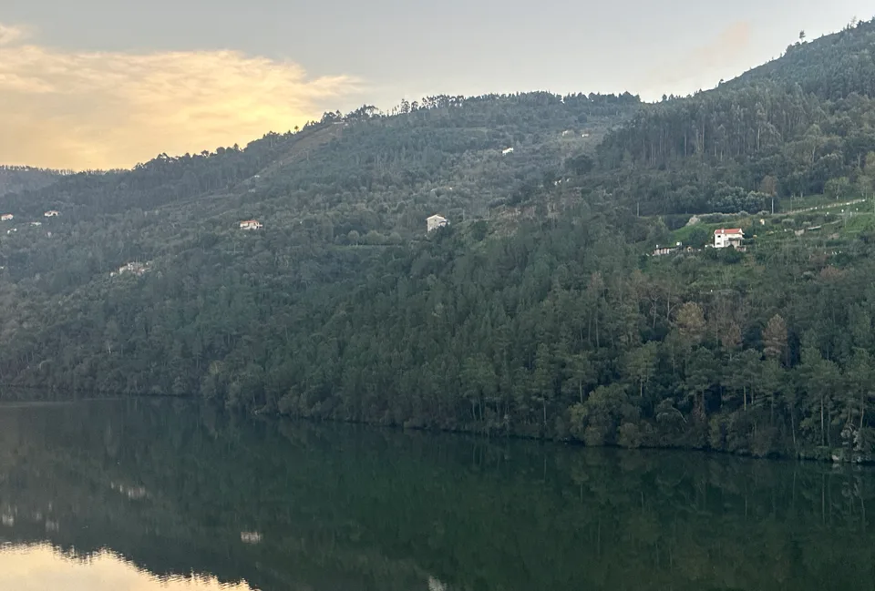 Serene landscape of River Douro valley with forested hills, Mosteirô, Baião, Porto, Portugal, November 2024